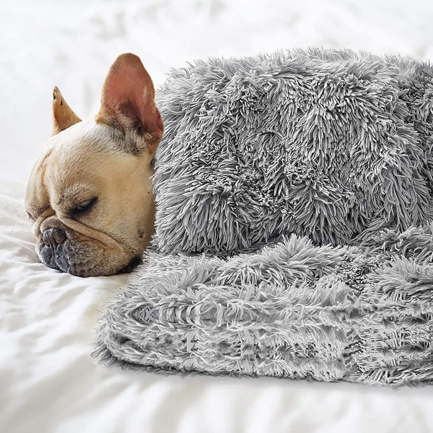 Beds And Blankets