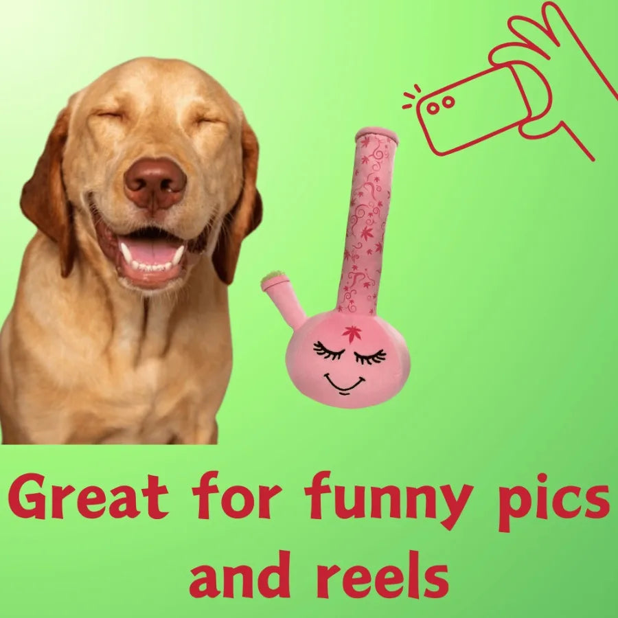 My Name is Harmony Bong Funny Squeaky Weed Dog Toy Cute Stuffed Parody Pot Bong Cool Plush 420 Novelty Gift for Pets Sized for